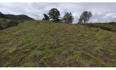 Venta de Lote Independiente en La Ceja, Sector el Capiro