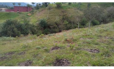 Venta de Lote Independiente en La Ceja, Sector el Capiro