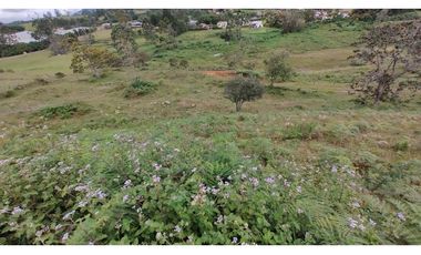 Venta de Lote Independiente en La Ceja, Sector el Capiro
