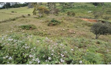 Venta de Lote Independiente en La Ceja, Sector el Capiro