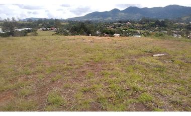 Venta de Lote Independiente en La Ceja, Sector el Capiro