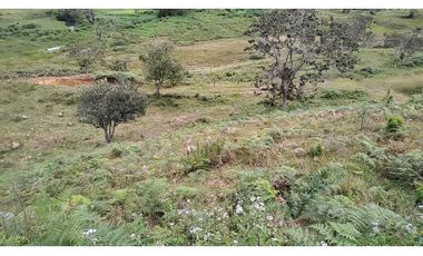 Venta de Lote Independiente en La Ceja, Sector el Capiro
