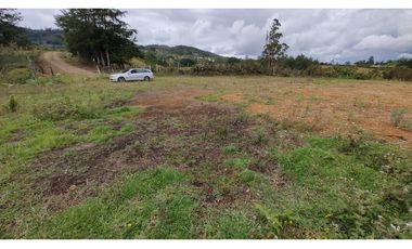 Venta de Lote Independiente en La Ceja, Sector el Capiro