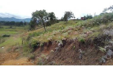 Venta de Lote Independiente en La Ceja, Sector el Capiro