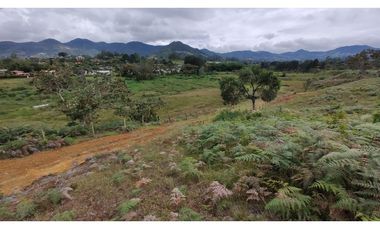 Venta de Lote Independiente en La Ceja, Sector el Capiro