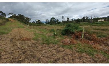 Venta de Lote Independiente en La Ceja, Sector el Capiro