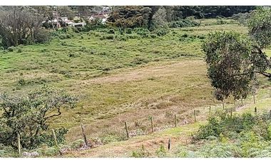 Venta de Lote Independiente en La Ceja, Sector el Capiro