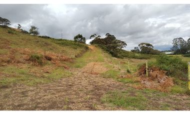 Venta de Lote Independiente en La Ceja, Sector el Capiro