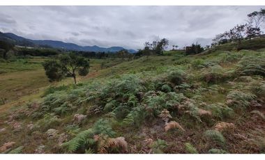Venta de Lote Independiente en La Ceja, Sector el Capiro