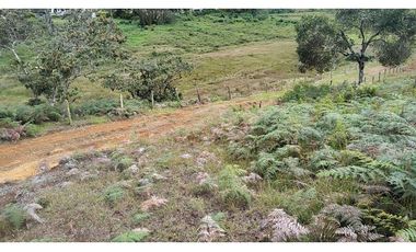 Venta de Lote Independiente en La Ceja, Sector el Capiro