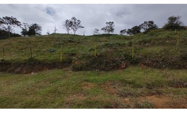 Venta de Lote Independiente en La Ceja, Sector el Capiro