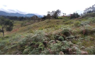 Venta de Lote Independiente en La Ceja, Sector el Capiro