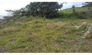 Venta de Lote Independiente en La Ceja, Sector el Capiro