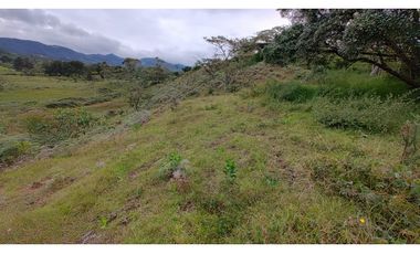 Venta de Lote Independiente en La Ceja, Sector el Capiro