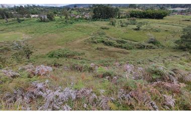 Venta de Lote Independiente en La Ceja, Sector el Capiro