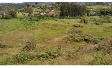 Venta de Lote Independiente en La Ceja, Sector el Capiro