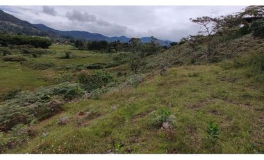 Venta de Lote Independiente en La Ceja, Sector el Capiro