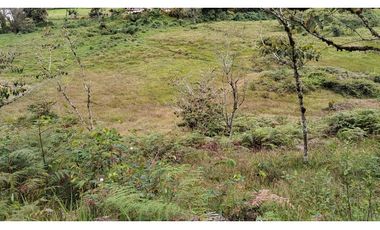 Venta de Lote Independiente en La Ceja, Sector el Capiro