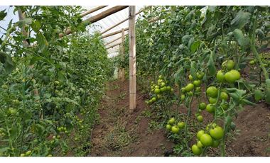 Venta de Finca en Guarne, Caballos y Agro, Cerca Aeropuerto