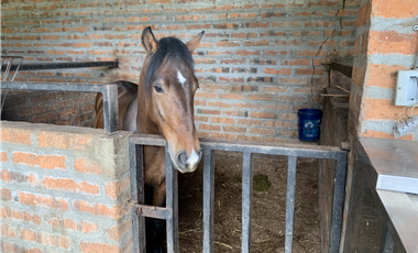 Venta de Finca en Guarne, Caballos y Agro, Cerca Aeropuerto