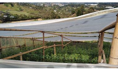 Venta de Finca en Guarne, Caballos y Agro, Cerca Aeropuerto