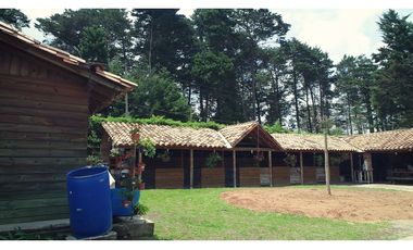 Venta de Finca en Guarne, Caballos y Agro, Cerca Aeropuerto