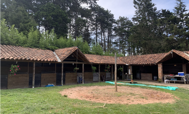 Venta de Finca en Guarne, Caballos y Agro, Cerca Aeropuerto