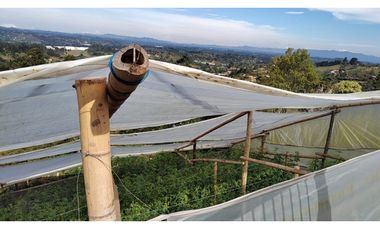 Venta de Finca en Guarne, Caballos y Agro, Cerca Aeropuerto