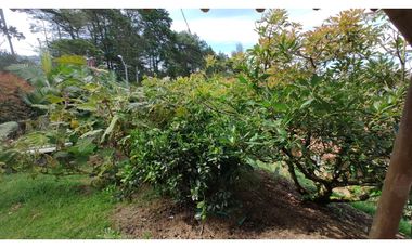 Venta de Finca en Guarne, Caballos y Agro, Cerca Aeropuerto