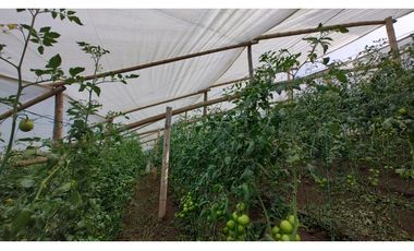 Venta de Finca en Guarne, Caballos y Agro, Cerca Aeropuerto