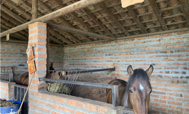 Venta de Finca en Guarne, Caballos y Agro, Cerca Aeropuerto