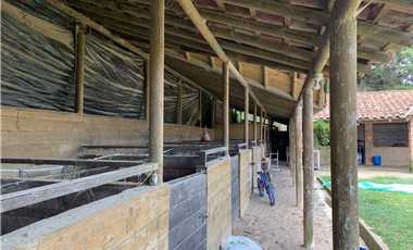 Venta de Finca en Guarne, Caballos y Agro, Cerca Aeropuerto
