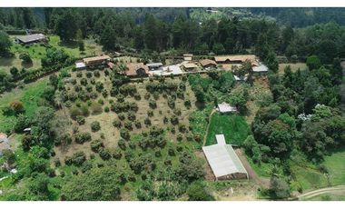 Venta de Finca en Guarne, Caballos y Agro, Cerca Aeropuerto