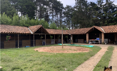 Venta de Finca en Guarne, Caballos y Agro, Cerca Aeropuerto