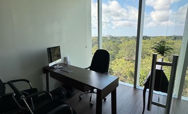 Oficina - Playa del Carmen Centro