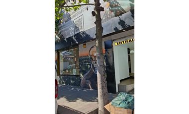 Arriendo Local Comercial, Metro Parque Ohiggins, Santiago
