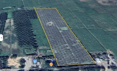 Land for sale in Rai Mai Phatthana, Phetchaburi