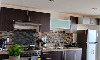 DEPARTAMENTO AMUEBLADO EN RENTA EN PUERTA REAL