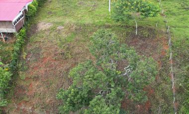Venta De Lote En La Zapata, Palmira, El Agrado