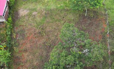 Venta De Lote En La Zapata, Palmira, El Agrado