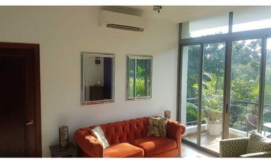 APARTAMENTO AMADOR AMOBLADO 2 RECAMARAS