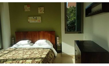 APARTAMENTO AMADOR AMOBLADO 2 RECAMARAS