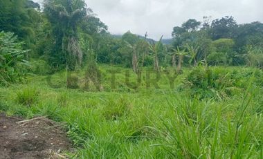 Se Vende Lote de terreno sobre via principal Mindo