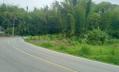 Se Vende Lote de terreno sobre via principal Mindo