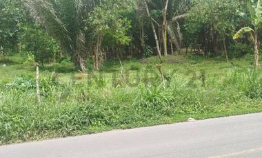 Se Vende Lote de terreno sobre via principal Mindo