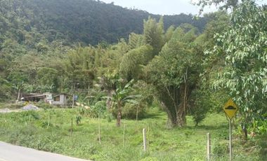 Se Vende Lote de terreno sobre via principal Mindo