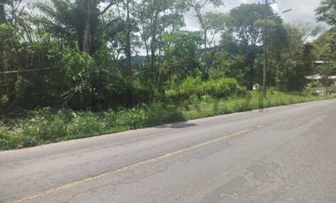 Se Vende Lote de terreno sobre via principal Mindo