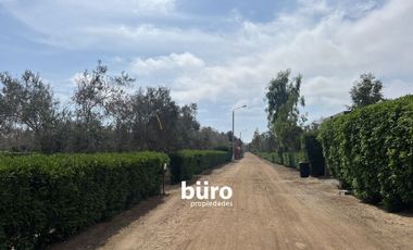 PRECIOSO TERRENO DE CAMPO EN VENTA, CONDOMINIO EL OLIVAR, PUCUSANA