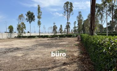 PRECIOSO TERRENO DE CAMPO EN VENTA, CONDOMINIO EL OLIVAR, PUCUSANA