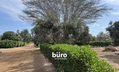 PRECIOSO TERRENO DE CAMPO EN VENTA, CONDOMINIO EL OLIVAR, PUCUSANA